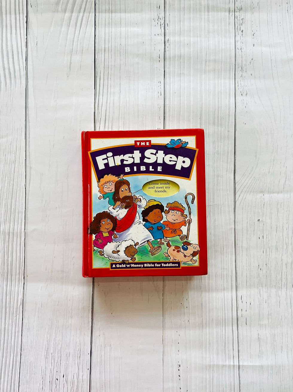 Thumbnail: The first step bible