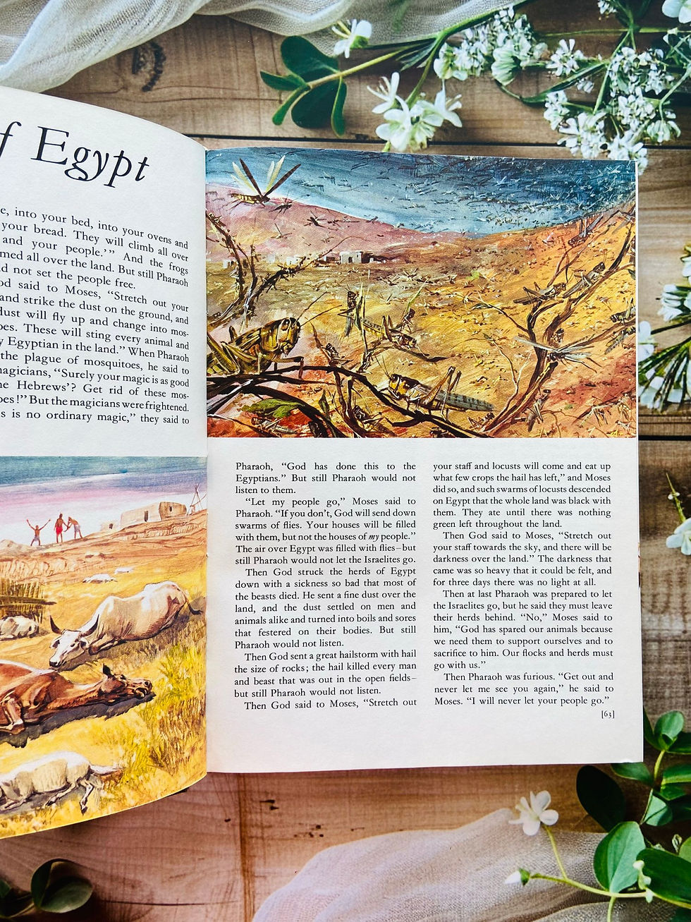 Thumbnail: The Bible for Children