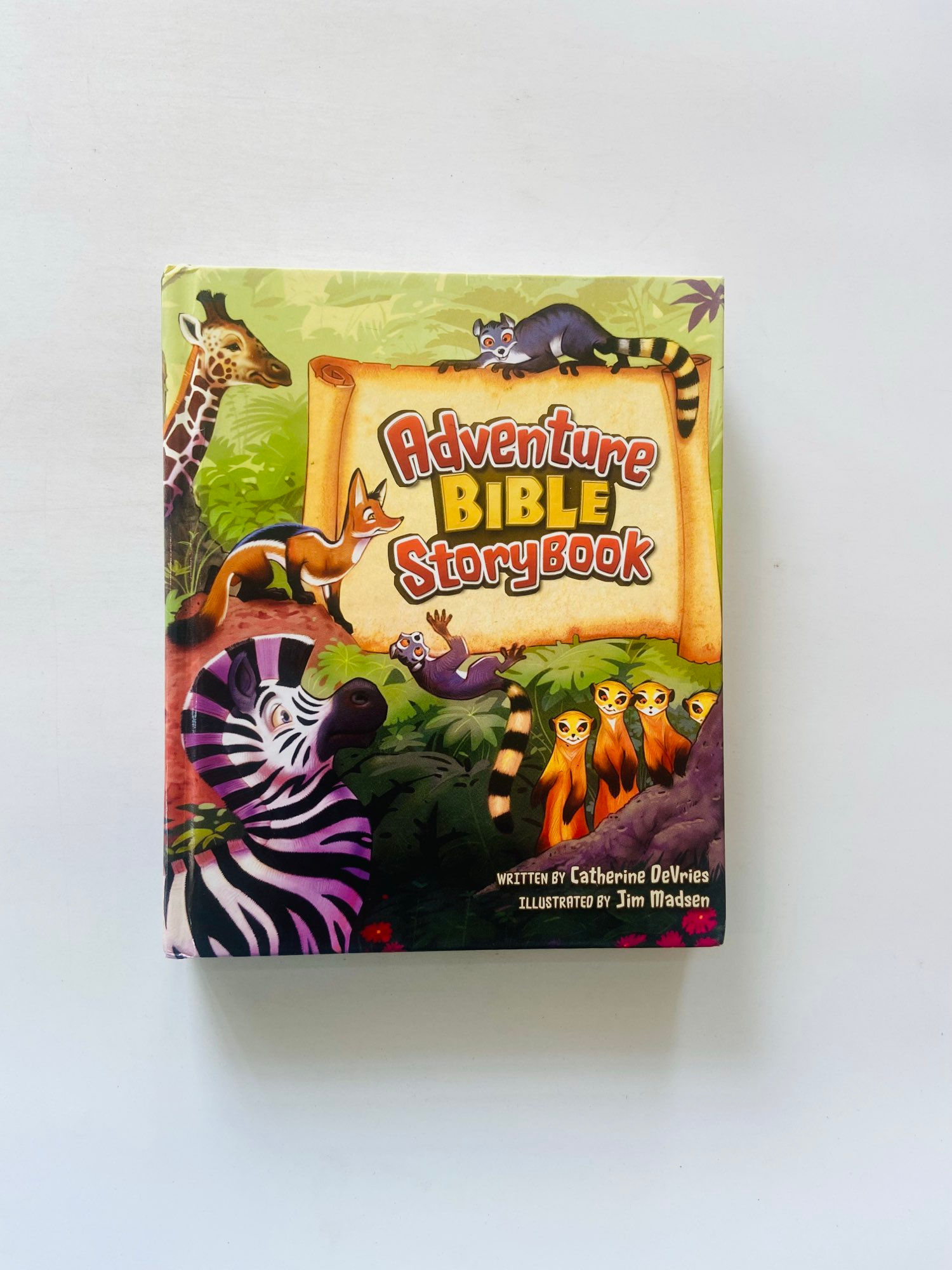 Adventure bible storybook