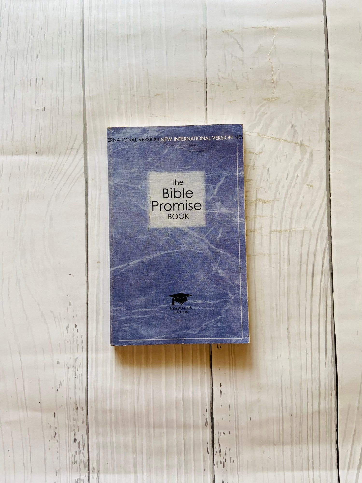 The bible promise book