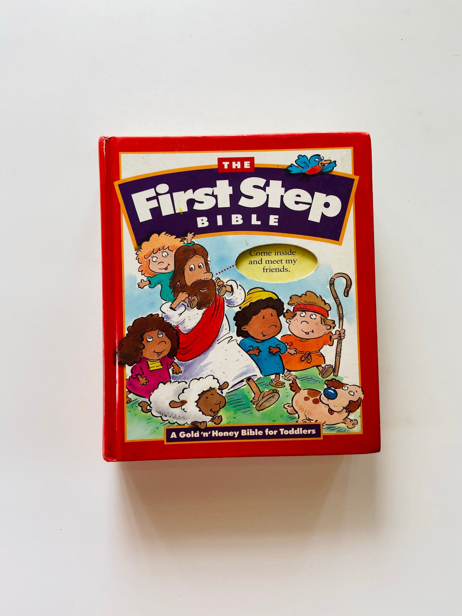 The first step bible