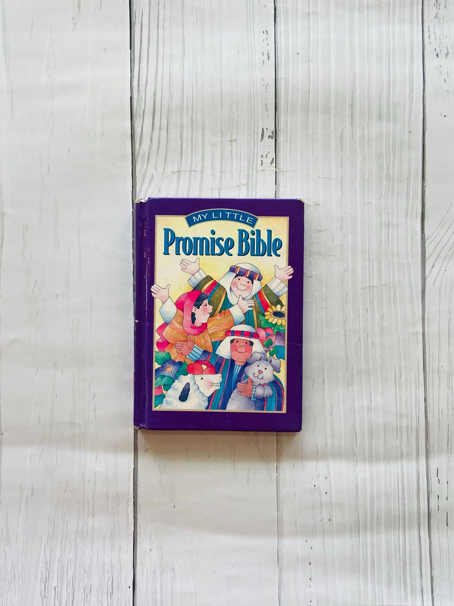 My little promise bible