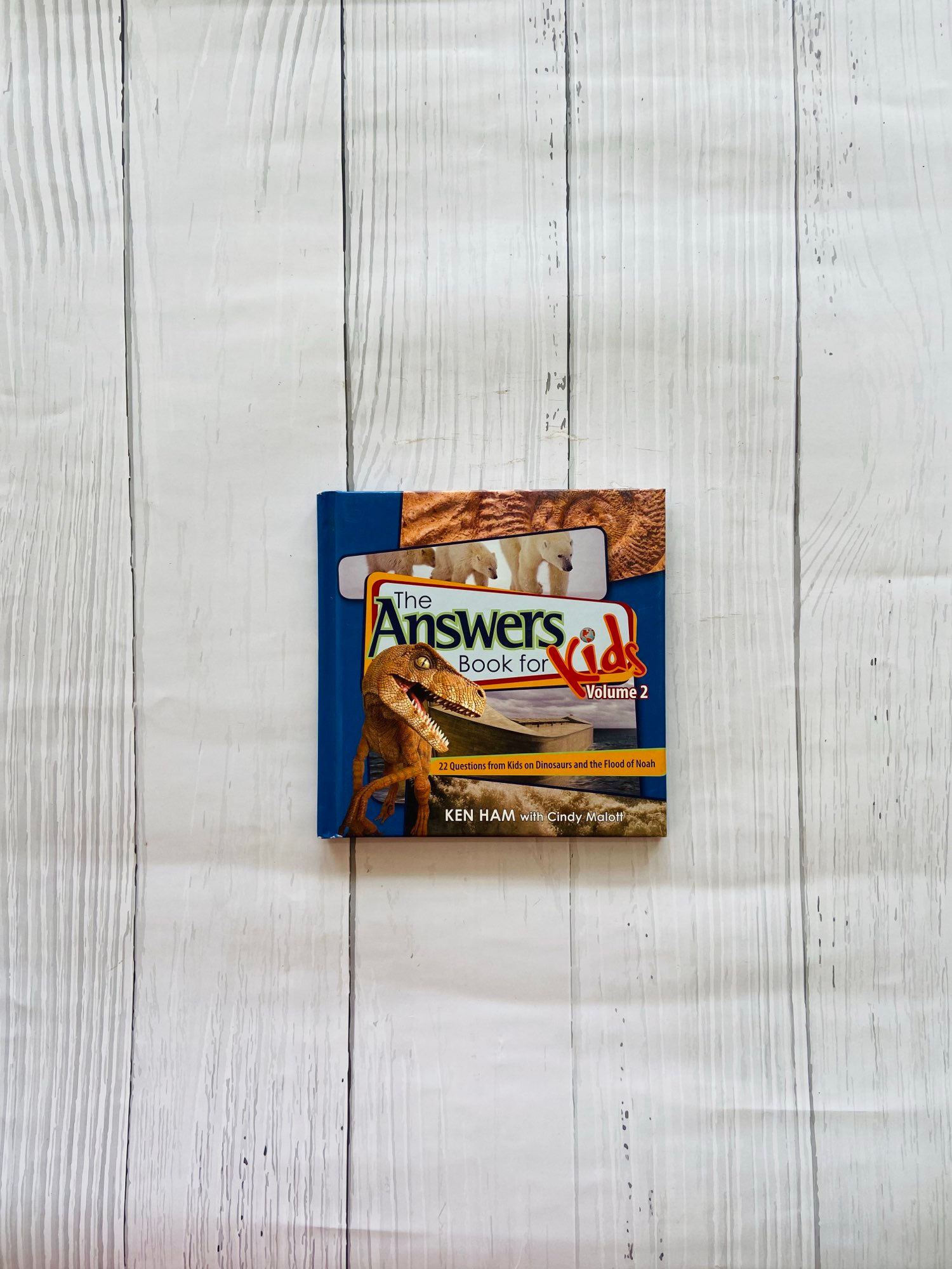 The answer book for kids - volume 2