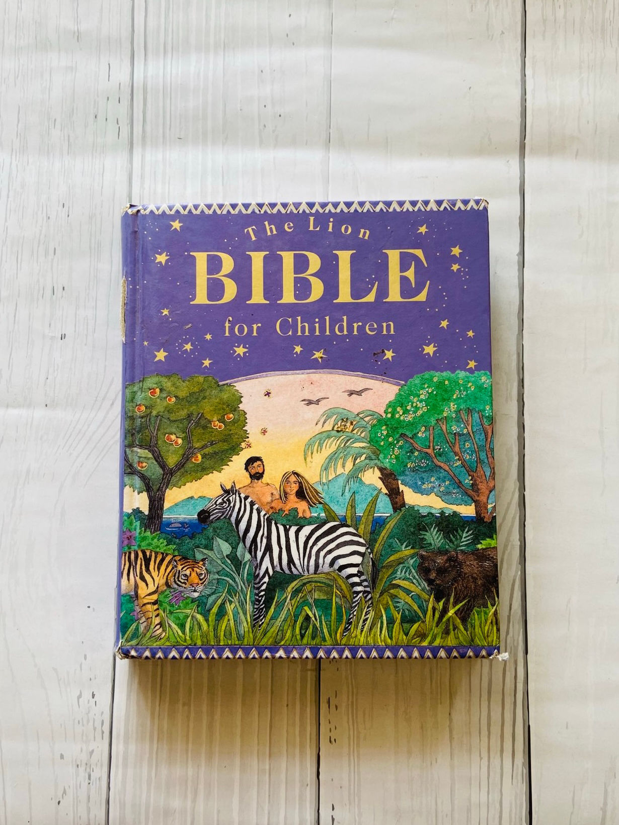 The lion bible for children