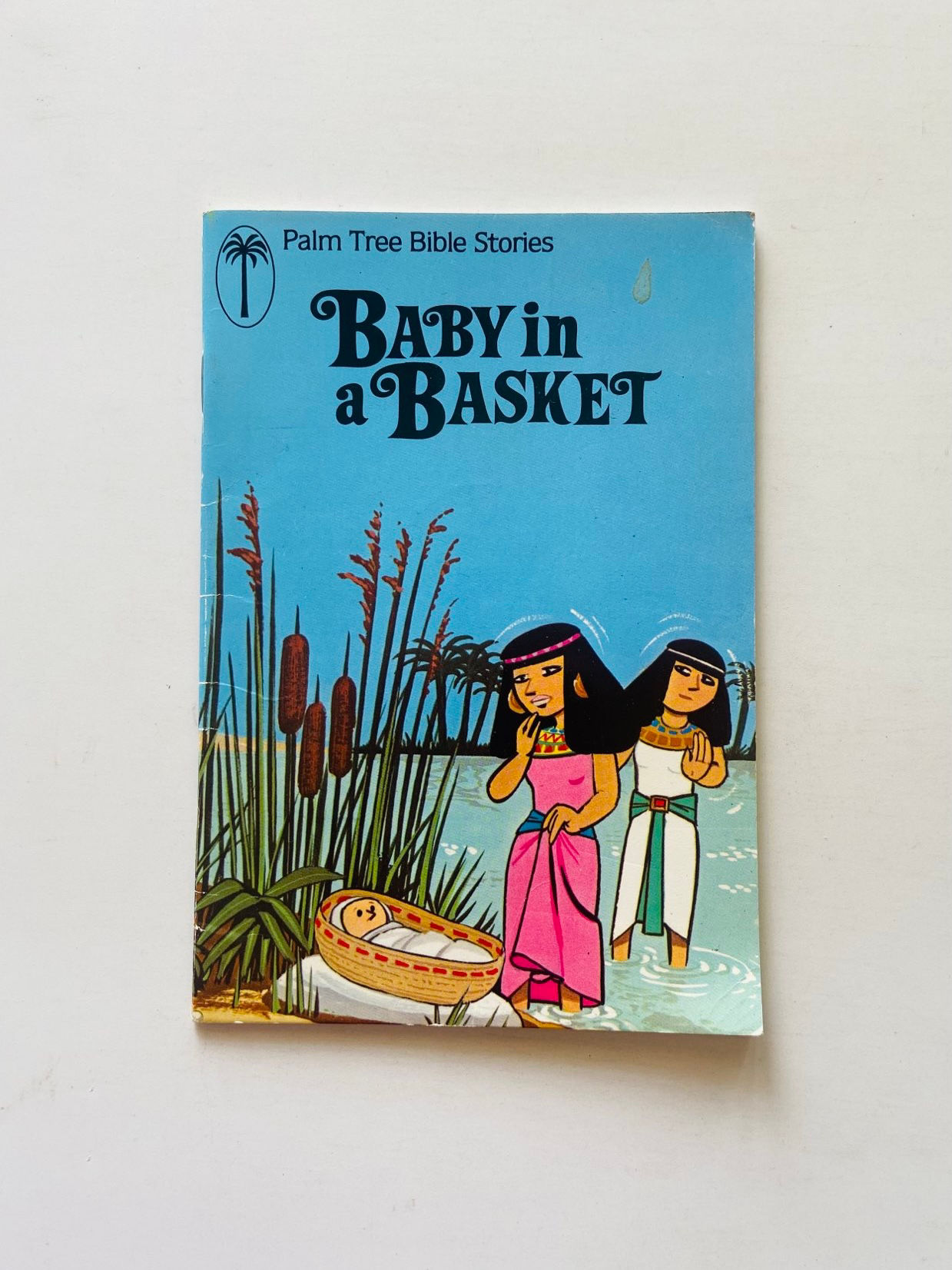 Baby in a basket