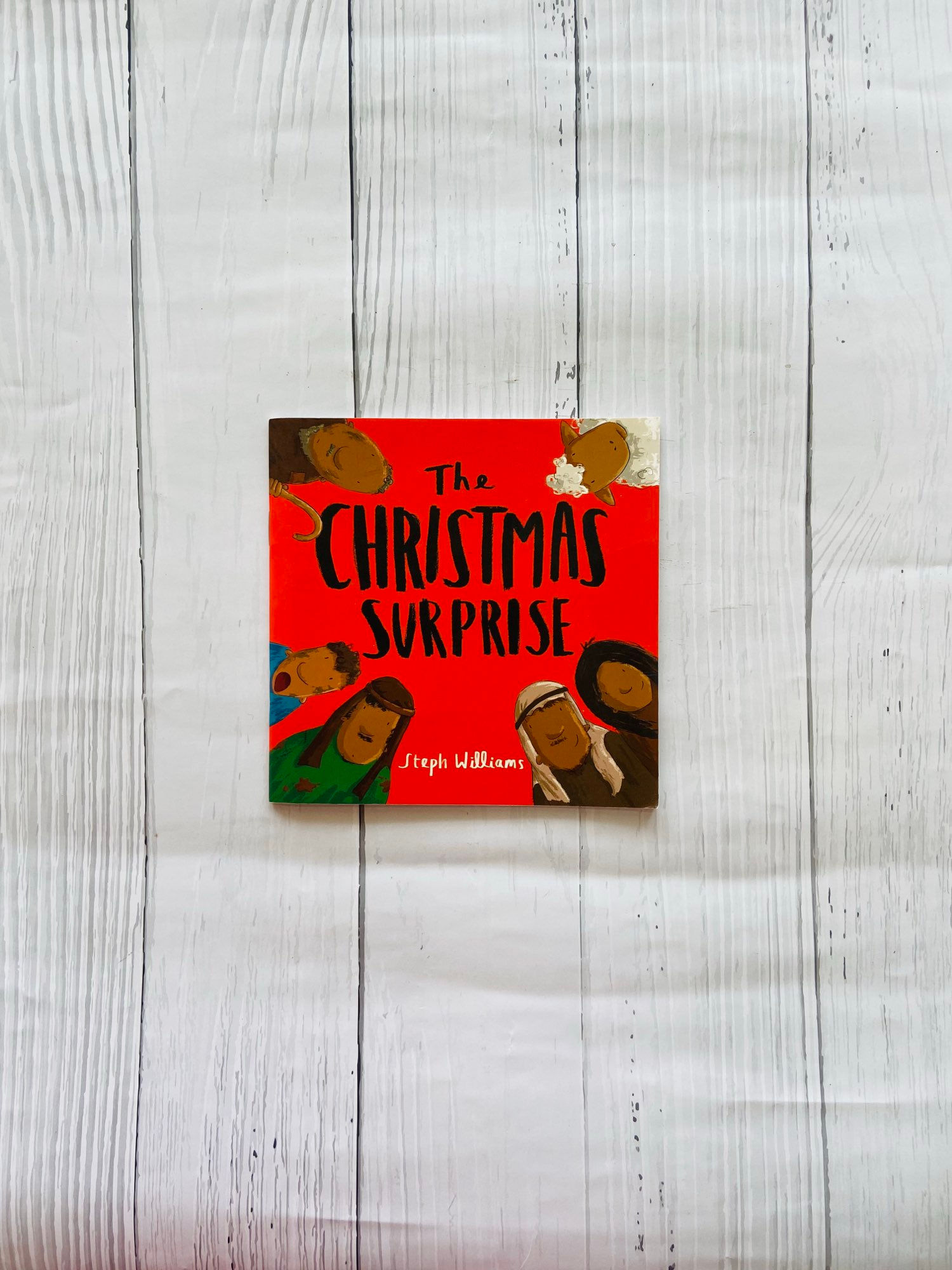 The christmas surprise