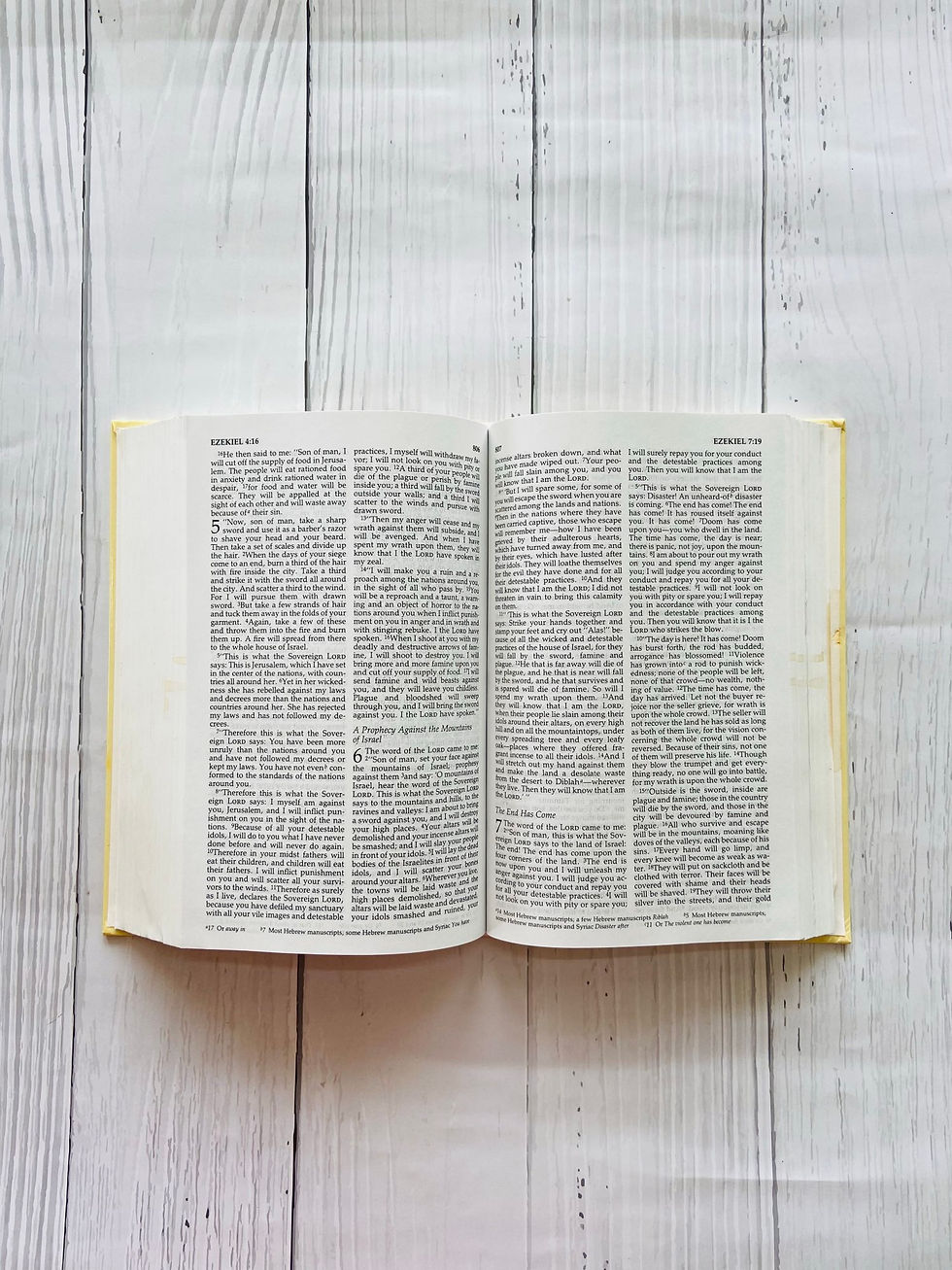 Thumbnail: Holy bible - new international version