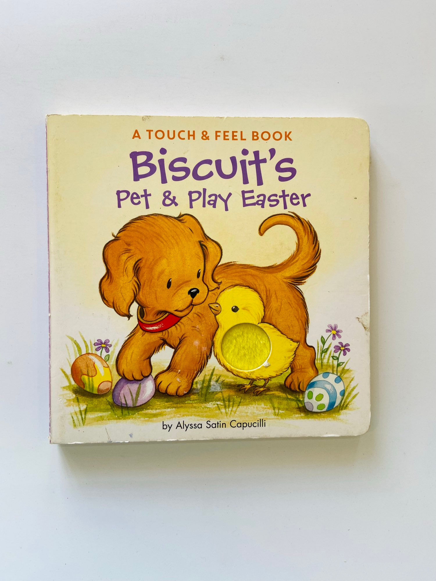 Biscuit's pet & play easter