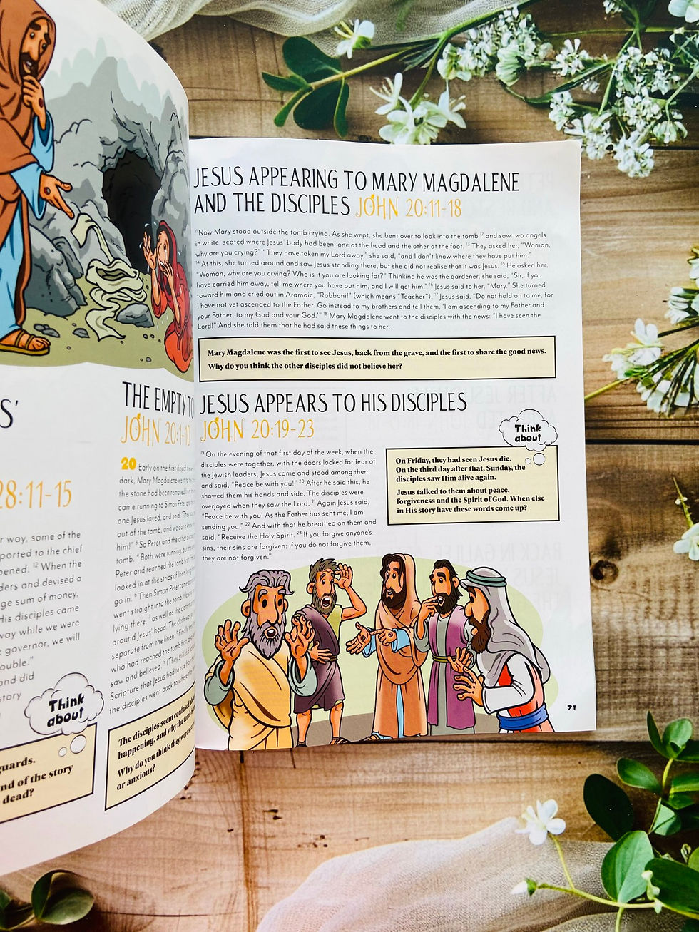 Thumbnail: Discover - Exploring the Bible