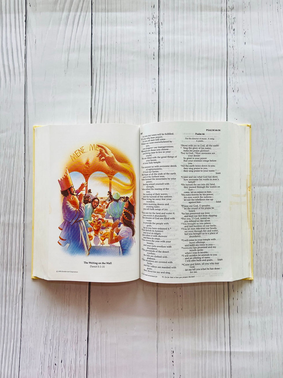 Thumbnail: Holy bible - new international version