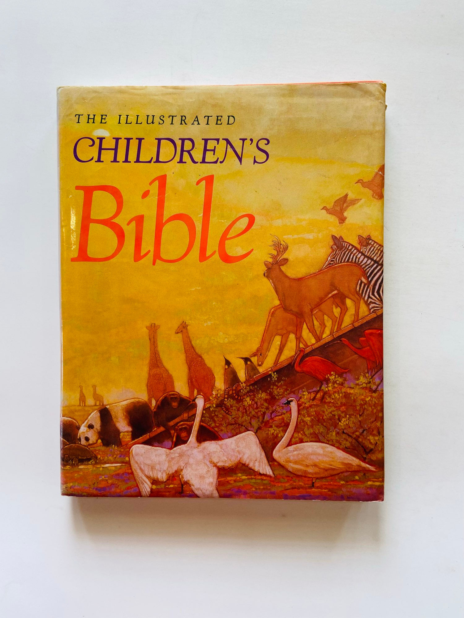 The illustrated children's bible
