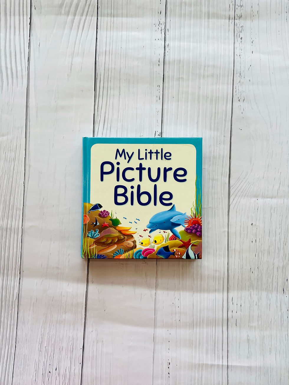 Thumbnail: My little picture bible