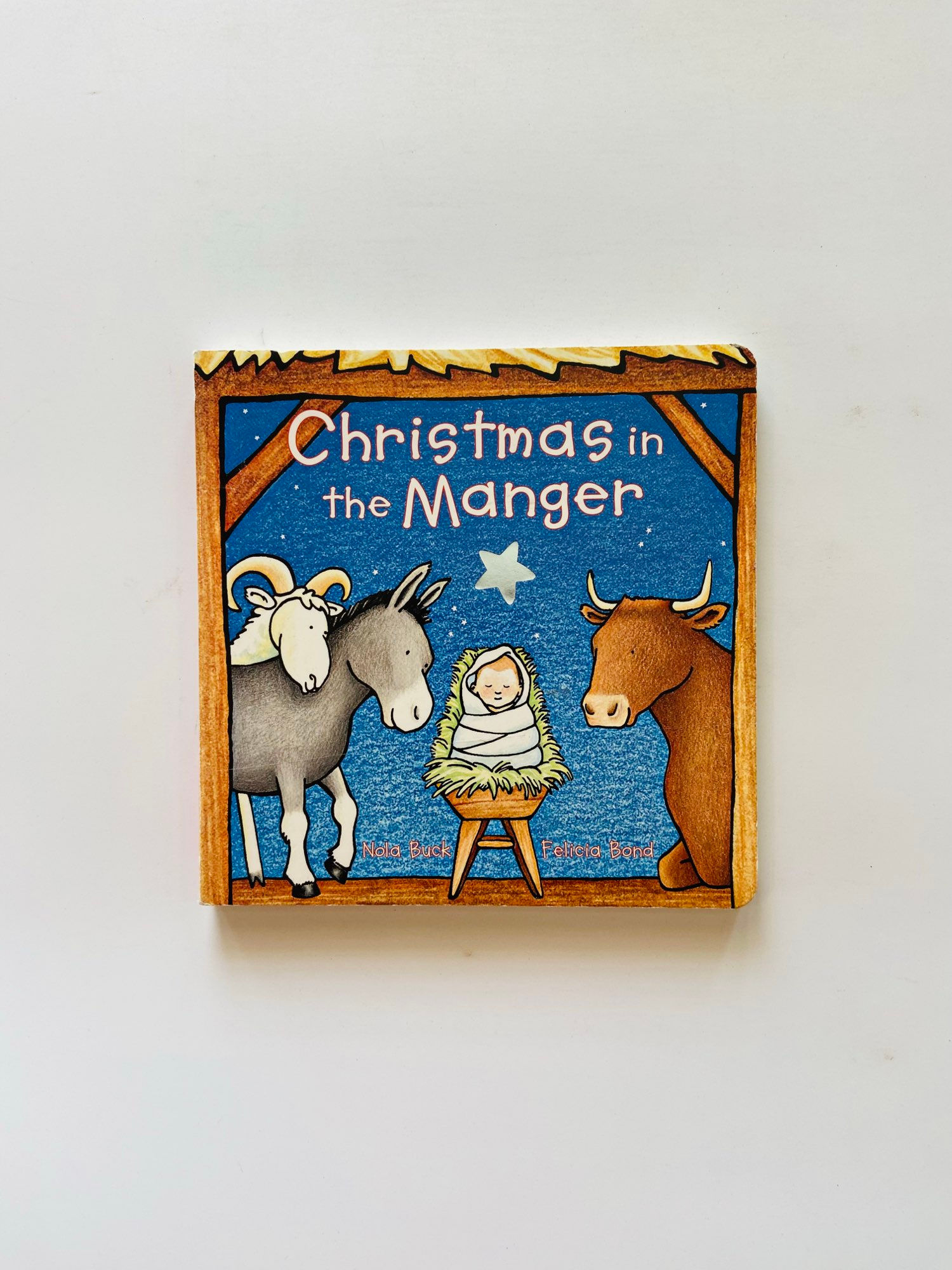 Christmas in the manger