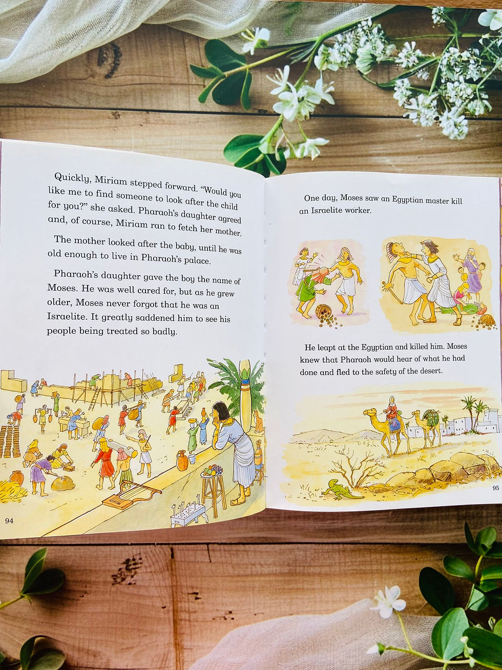 Thumbnail: My First Bible Stories parragon