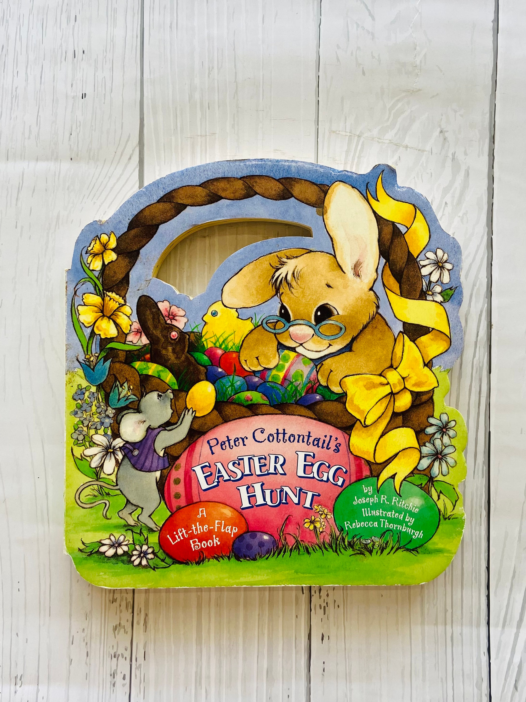 Easter egg hunt - peter cottontail's