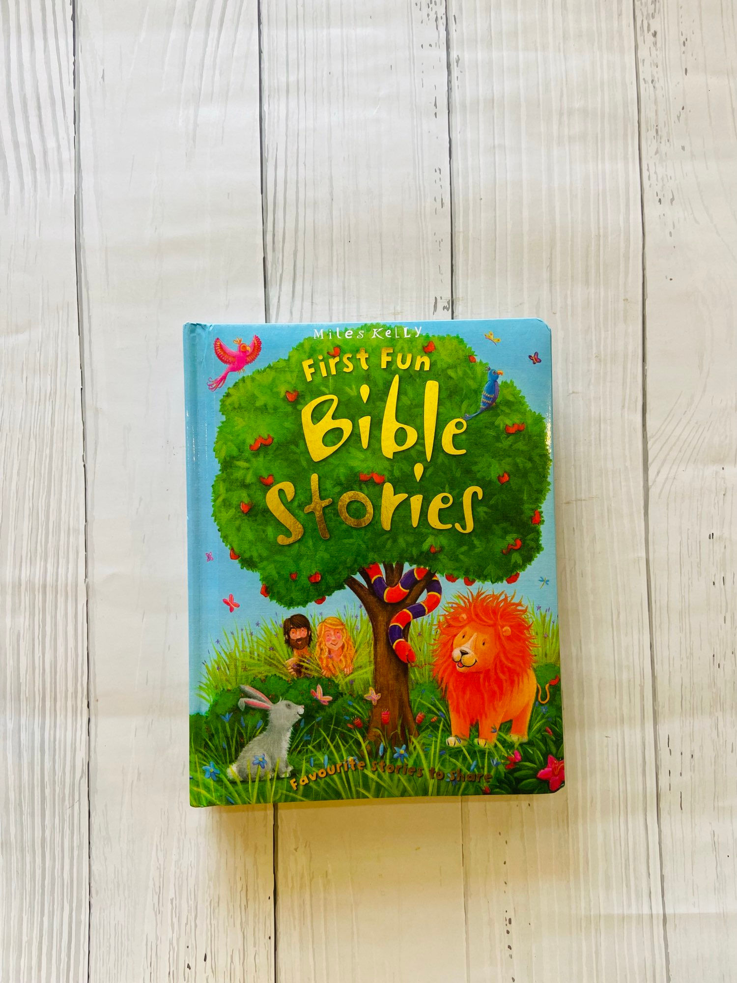 First fun bible stories