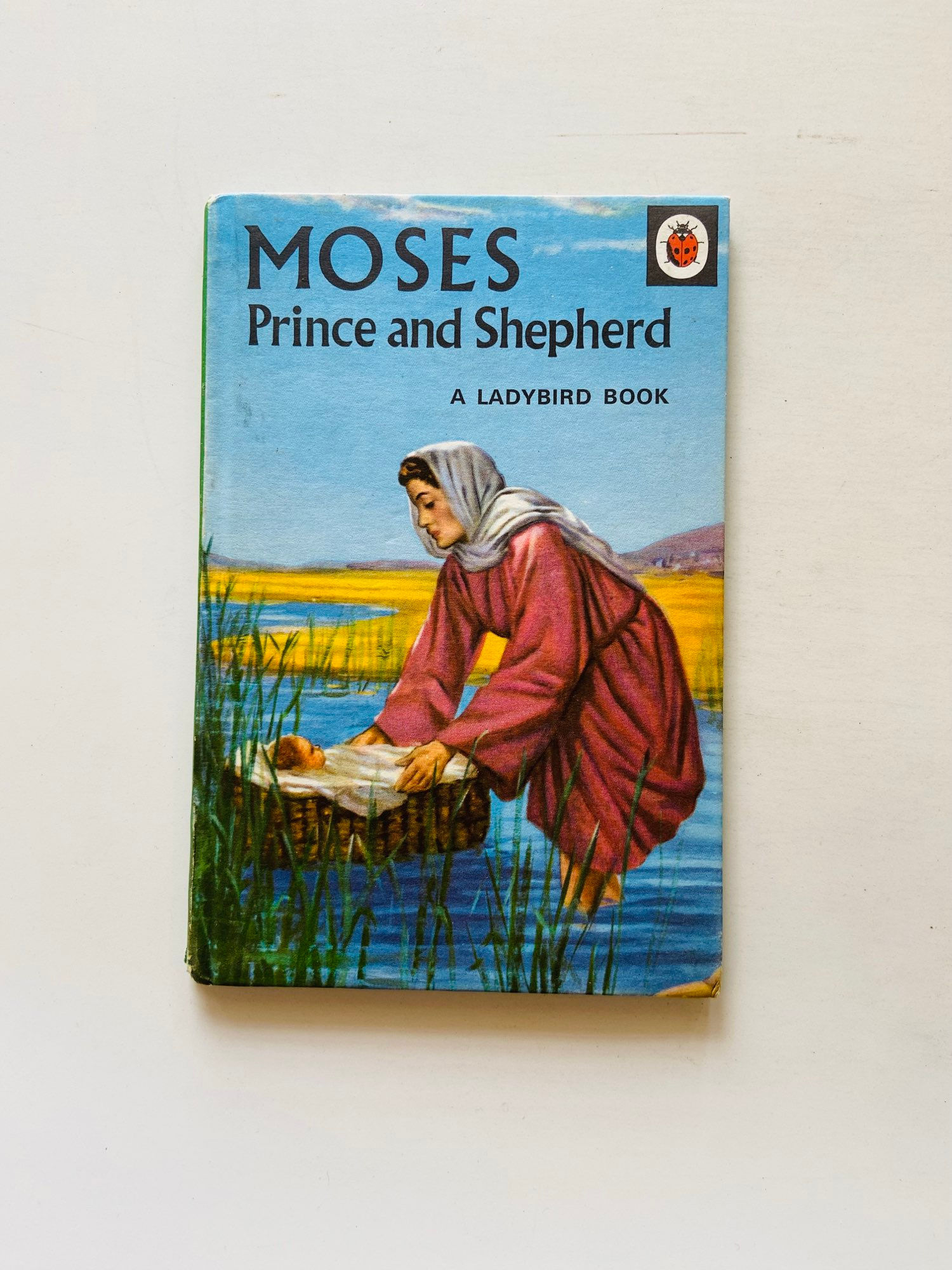 Moses prince and shepherd