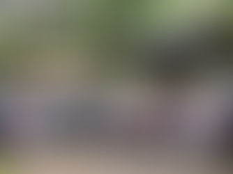 Petualangan Edukatif Playgroup Sakinah Rawamangun di Fauna Land Ancol