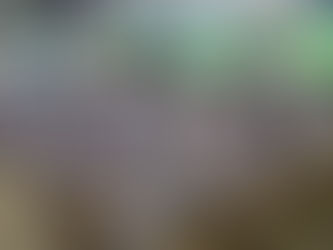 Movie Time TK Islam Al Azhar 13 Rawamangun: Menonton, Belajar, dan Bergembira Bersama