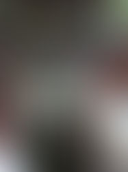 ALARM ART: Pameran dan Apresiasi Seni Murid SMPIA 12 Rawamangun