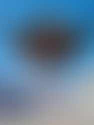 Kunjungan internasional ke negara Jepang