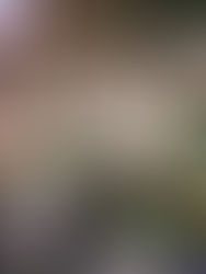 Murid hadir pada kegiatan @america