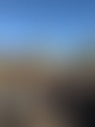 Foto bersama Immersion Program UK