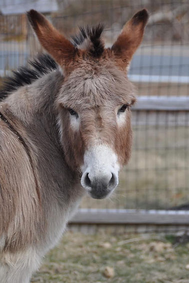 86695007_809117992904247_607563093843850