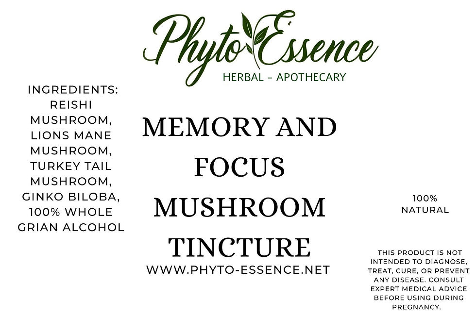 Memory and Focus Mushroom Tincture