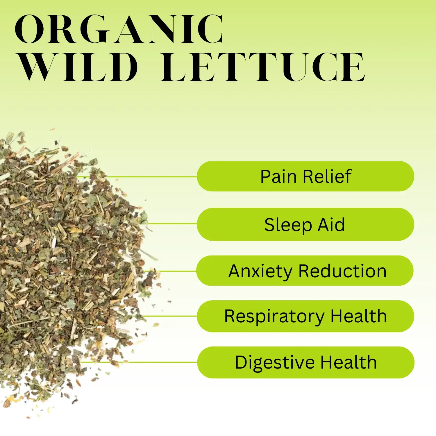 Wild Lettuce Tincture