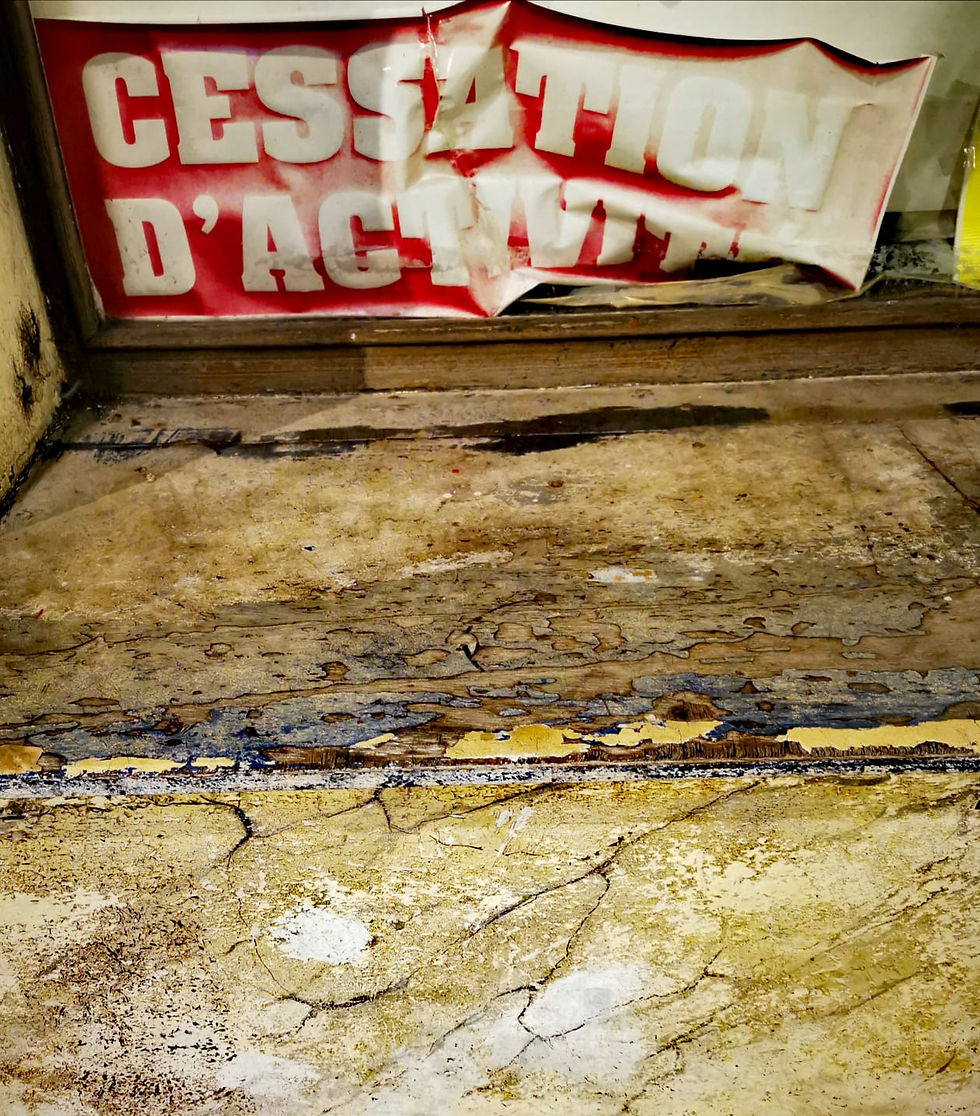 IMG-20201203-WA0006