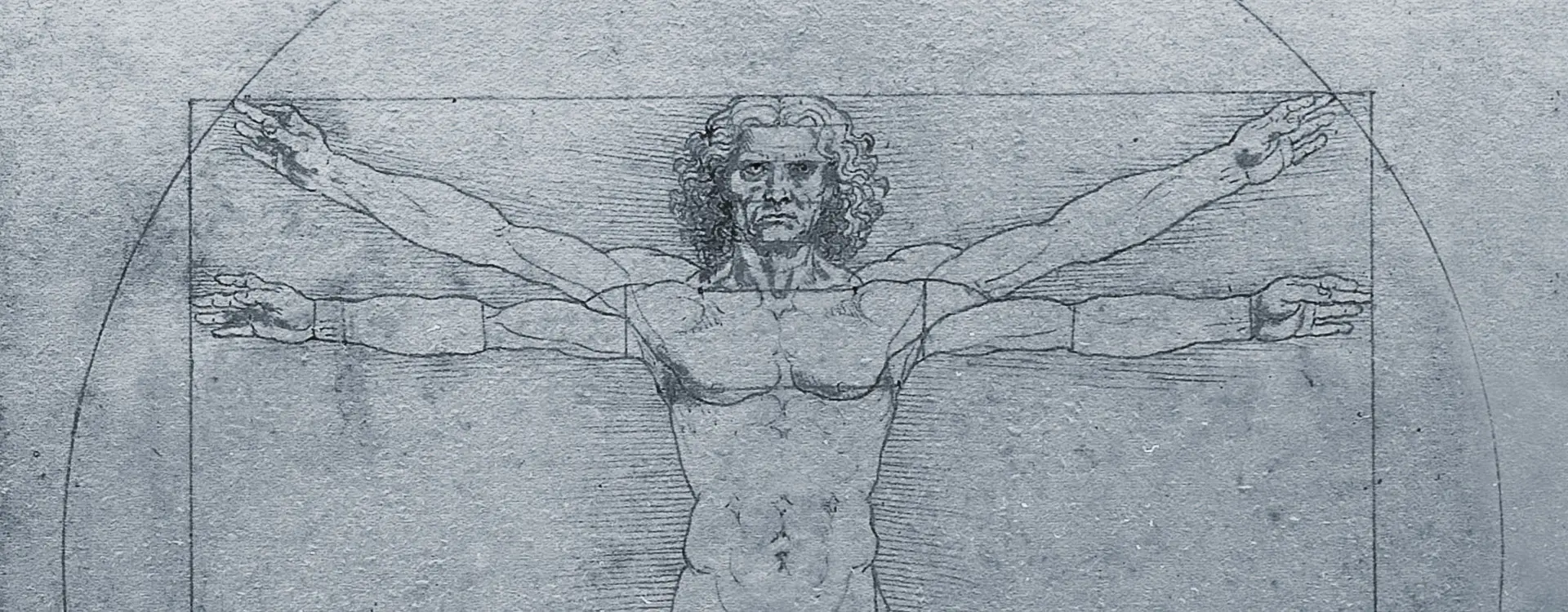 vitruvian-man.webp