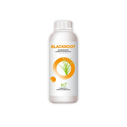 H-Active MB - Prime Herbatech.png