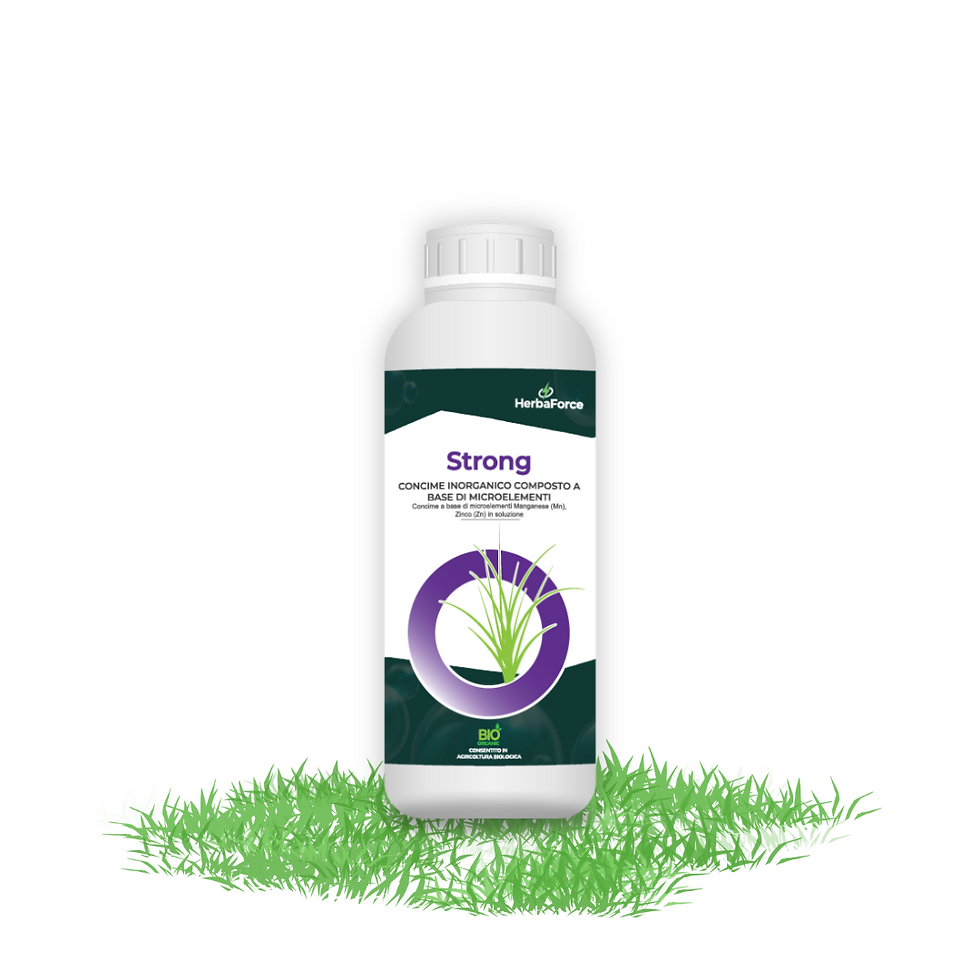 Strong - Fitofortificante liquido biologico zinco e manganese per prato - Linea HerbaForce - Prime Herbatech