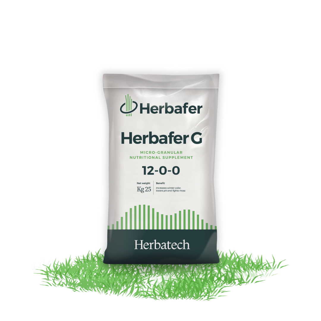 Wolf Garten - Fertilizzante Prato-Starter LH 100 per 100 mq Wolf Garten - Fertilizzante Prato-Starter LH 100 per 100 mq