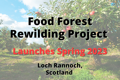 Orcharding Rewilding Project (2).png