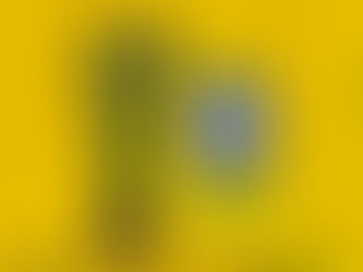 Os estádios no caminho do Brasil na Copa do Mundo