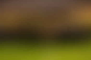 Bélgica irá disputar mundial com time desfalcado e resultados abaixo da expectativa