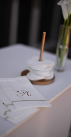 Screen Shot 2022-11-10 at 4.18.31 PM.png