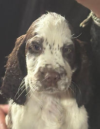 abby photo_edited_edited.jpg