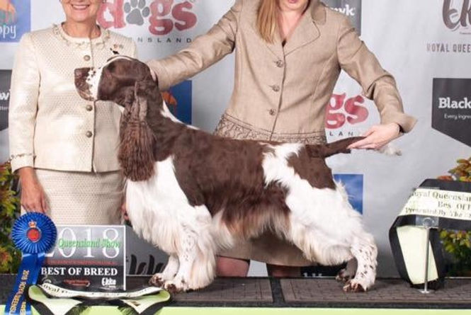 Peasblossom Poet, Supreme Champion of Australia