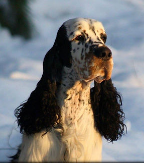 Justyna c_edited.jpg