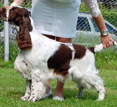 Annsofie j_edited.jpg