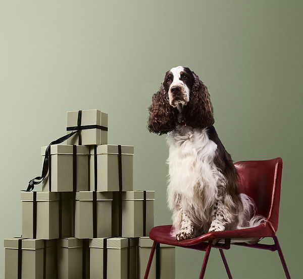 Bonnie Olga Penh.jpg