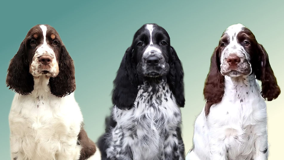 Facebook Page Cover copy 2.jpg