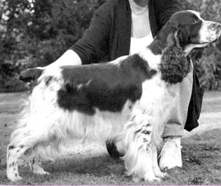 Mompesson Remember Me.jpg