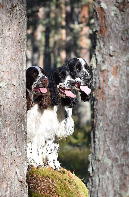 Winlaw i_edited_edited.jpg