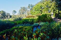 The Garden Nursery April 2021 (6).jpeg