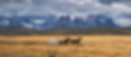 Torres Del Paine - CHILE