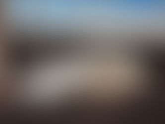 Once upon a time, there was the Volkswagen Beetle